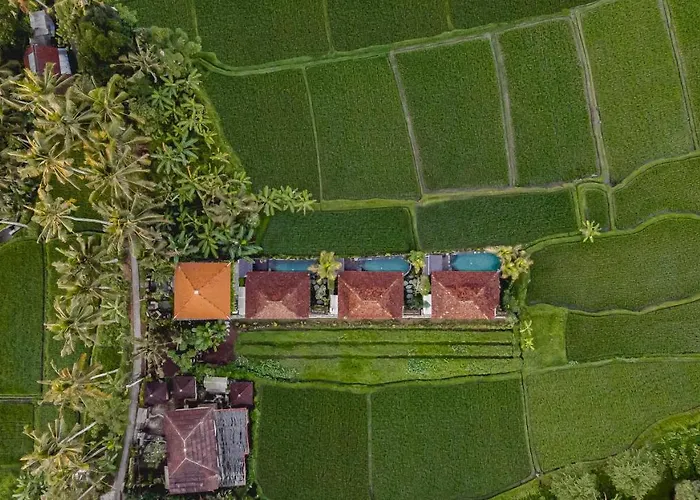 Airsania Ubud Antique Villas